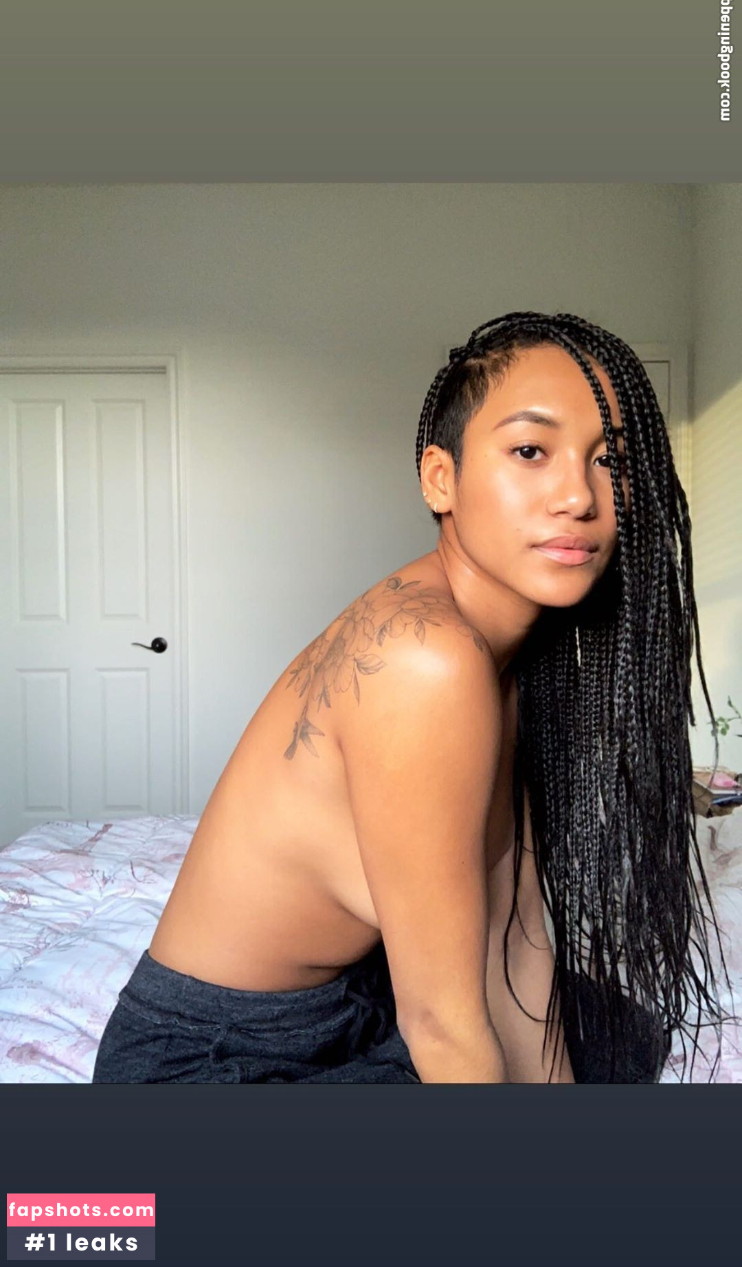 Sydney Park gallery photo #12