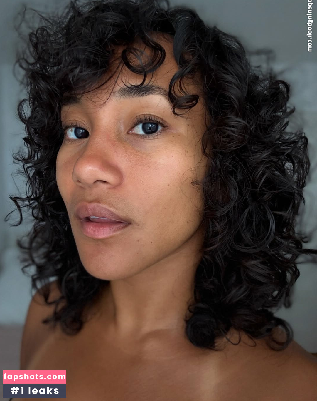 Sydney Park gallery photo #3