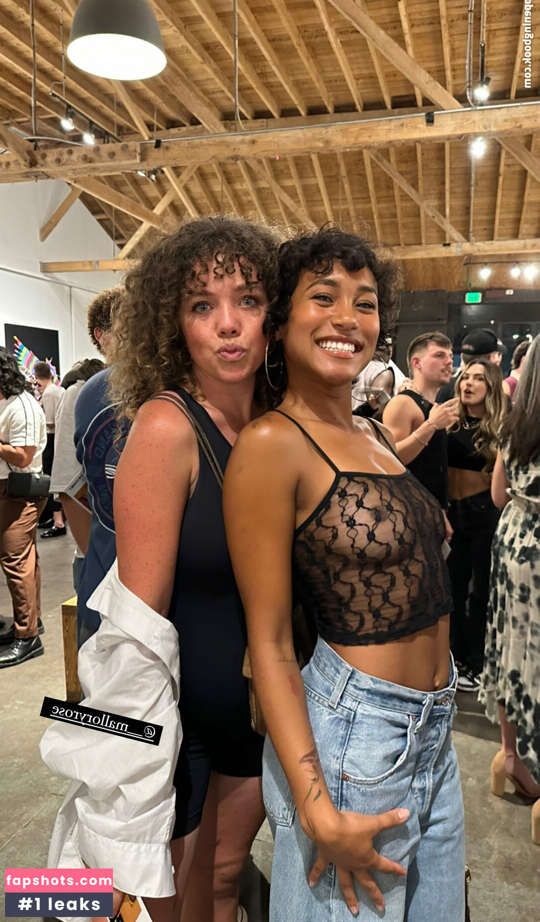 Sydney Park gallery photo #4