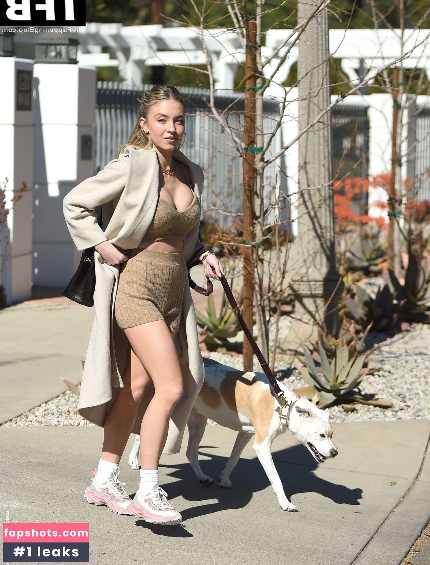 Sydney Sweeney gallery photo #6171