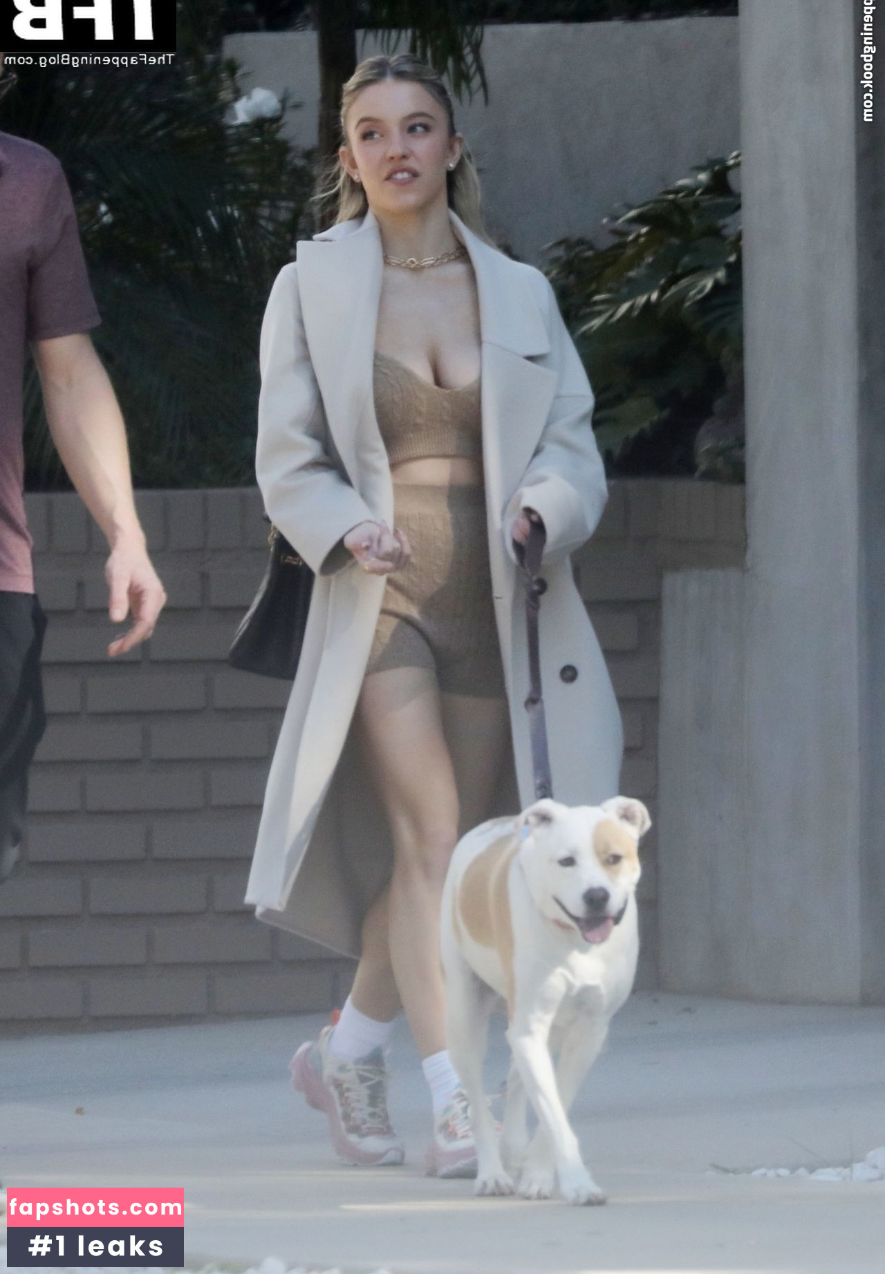 Sydney Sweeney gallery photo #6185