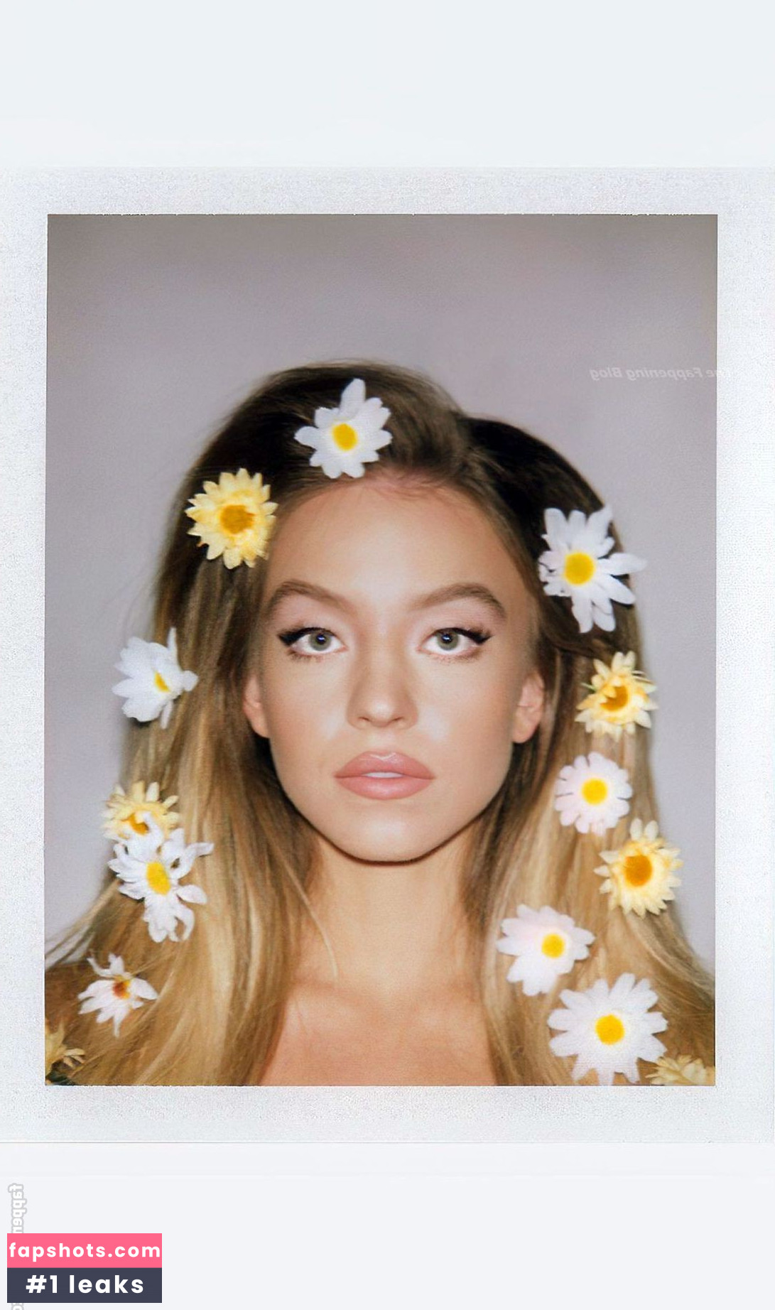 Sydney Sweeney gallery photo #6688