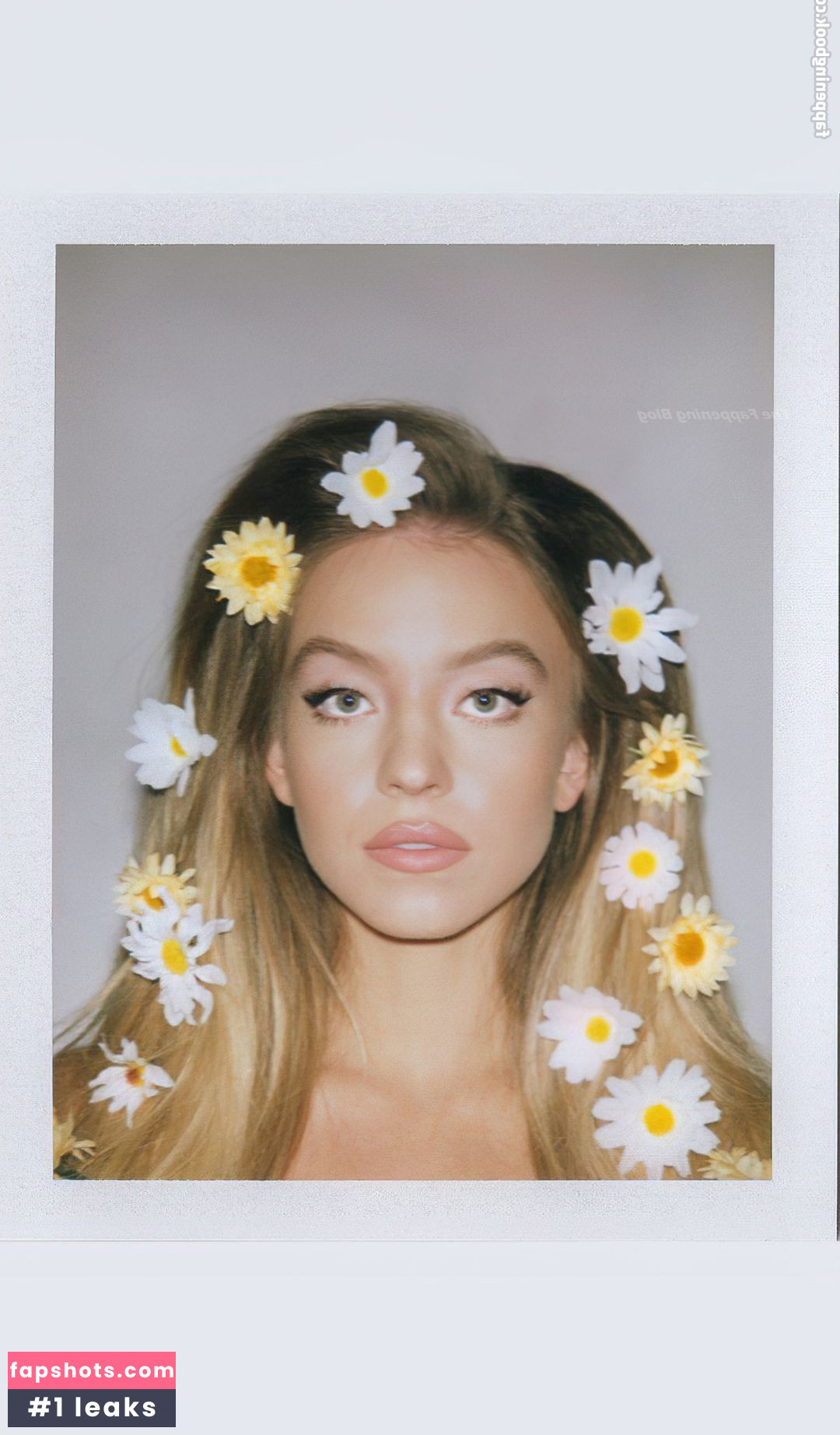 Sydney Sweeney gallery photo #7101