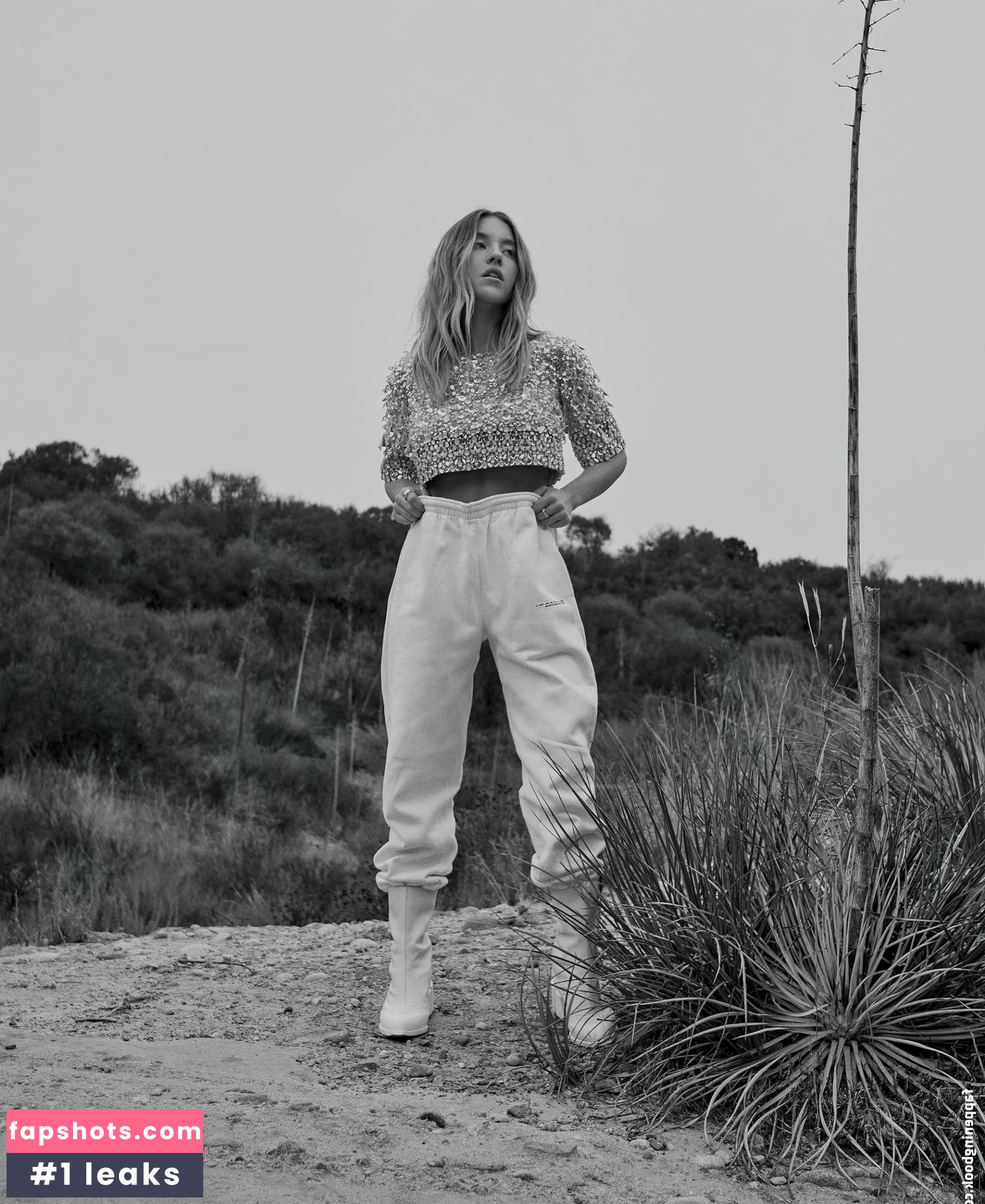 Sydney Sweeney gallery photo #7115