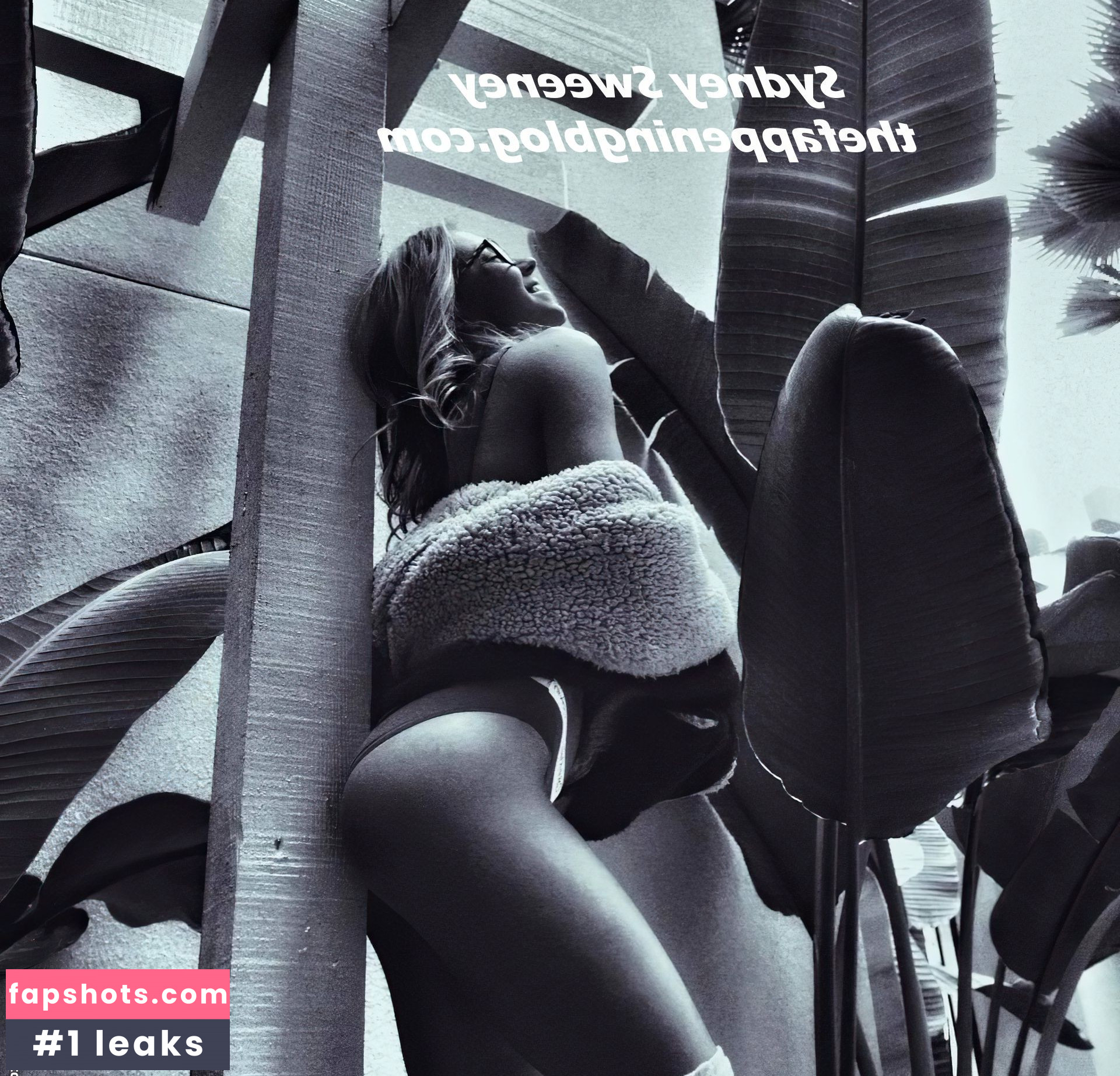 Sydney Sweeney gallery photo #7231