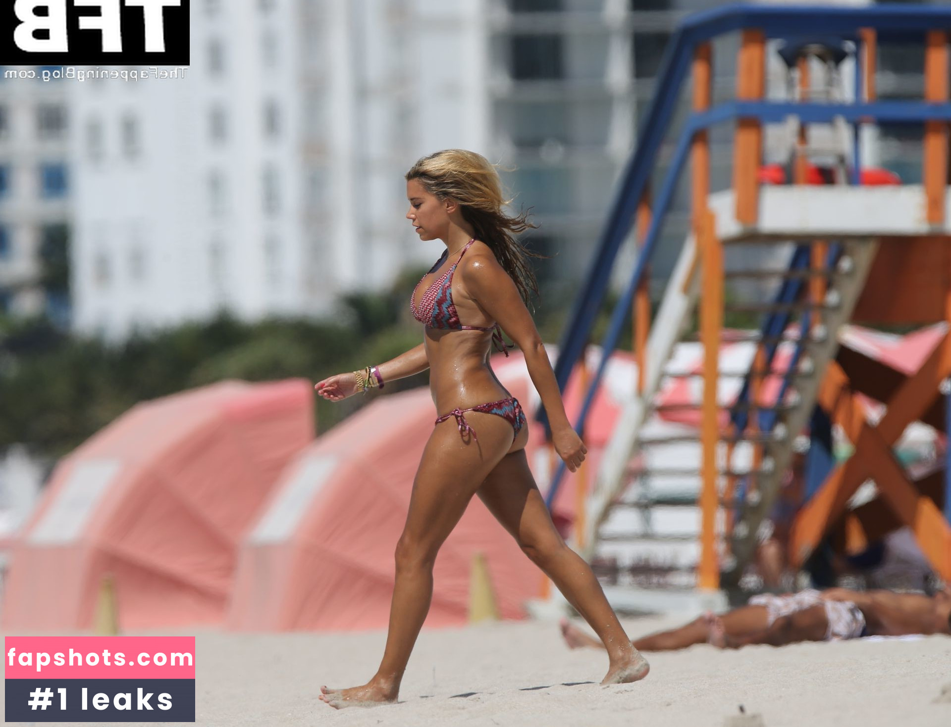 Sylvie Meis gallery photo #1231