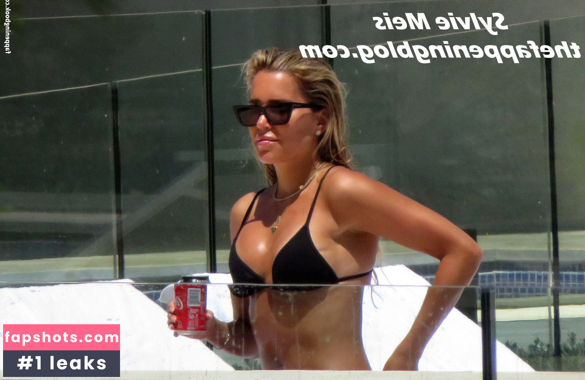 Sylvie Meis gallery photo #3912