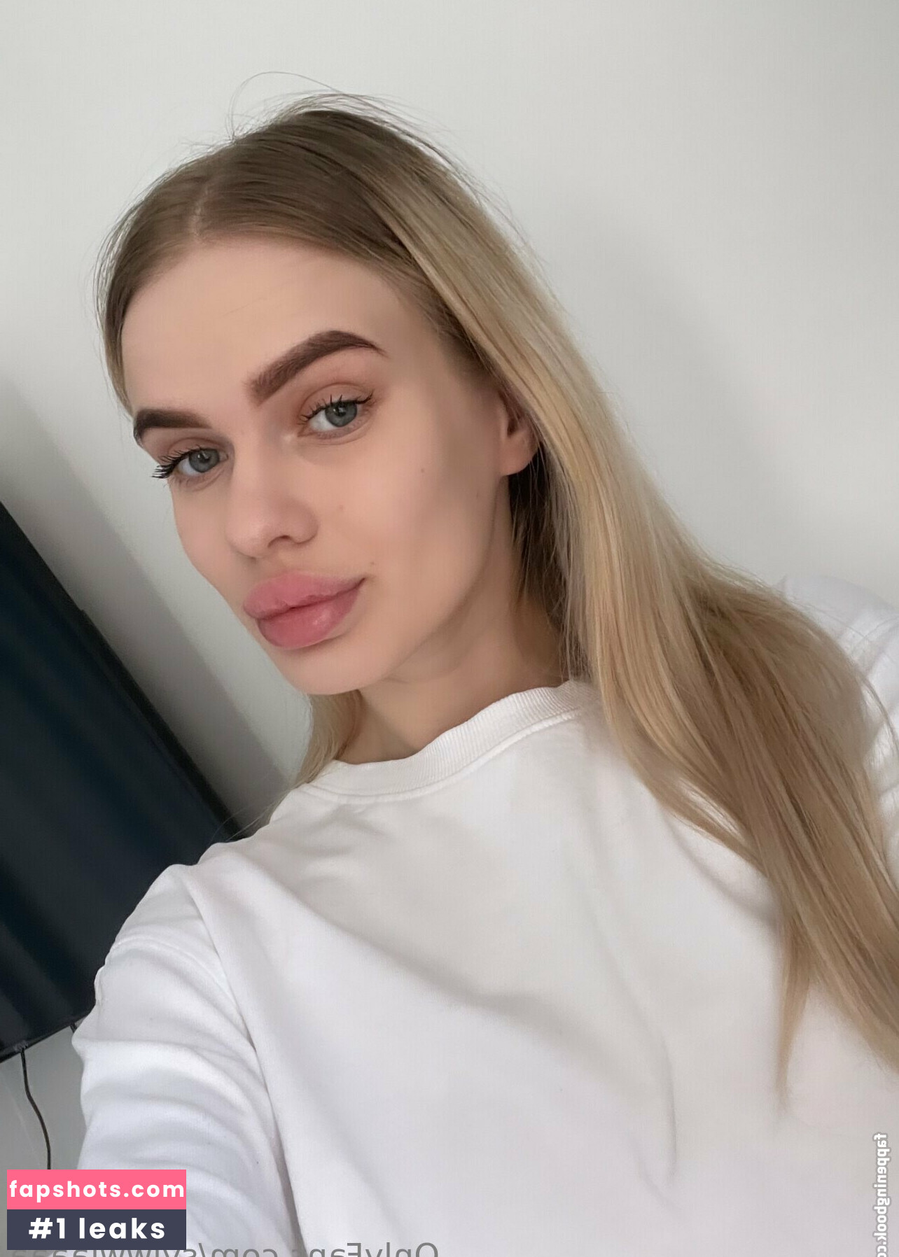 sylwwiaaaa Filtración Desnuda OnlyFans Foto #13 - Fapshots