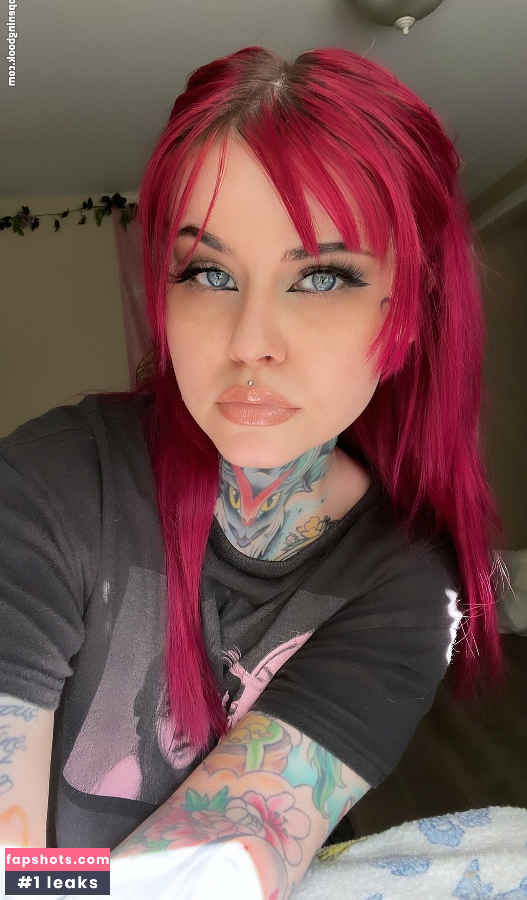 Syrencove gallery photo #53