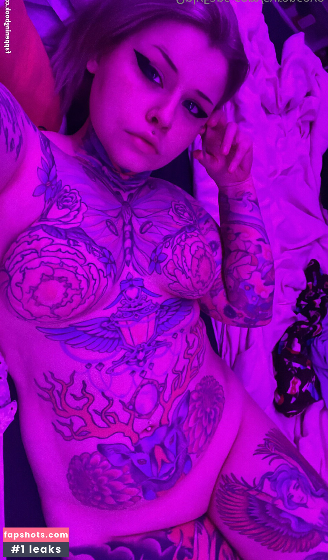 Syrencove gallery photo #8