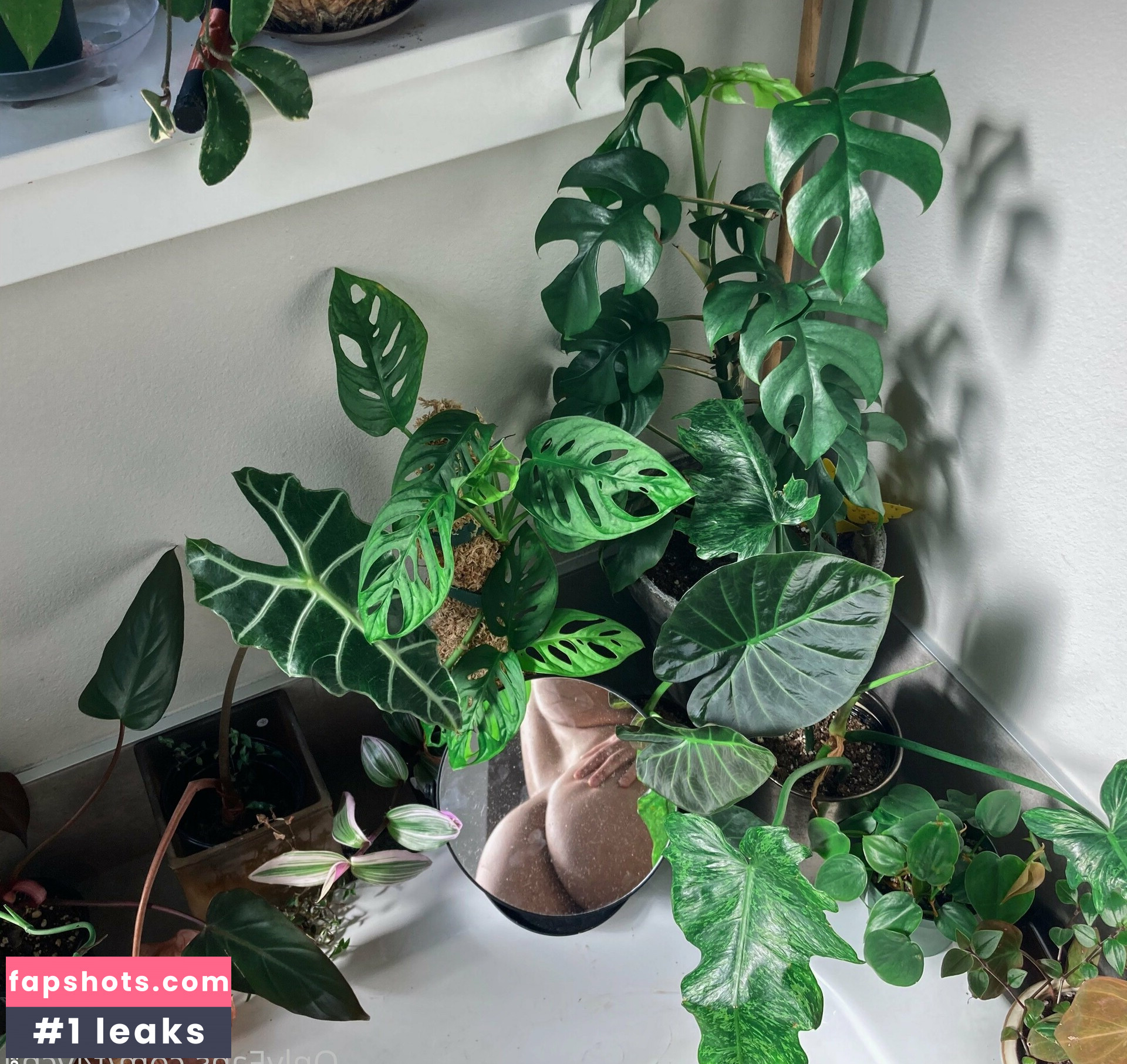 t4ych4 gallery photo #17