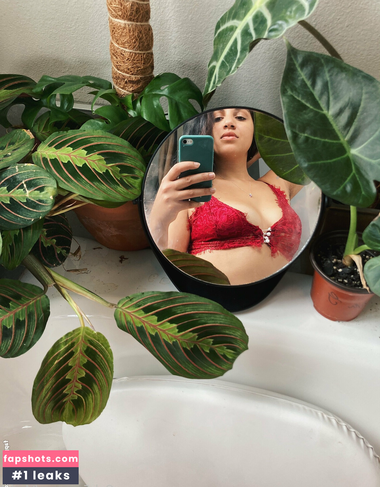 t4ych4 gallery photo #19