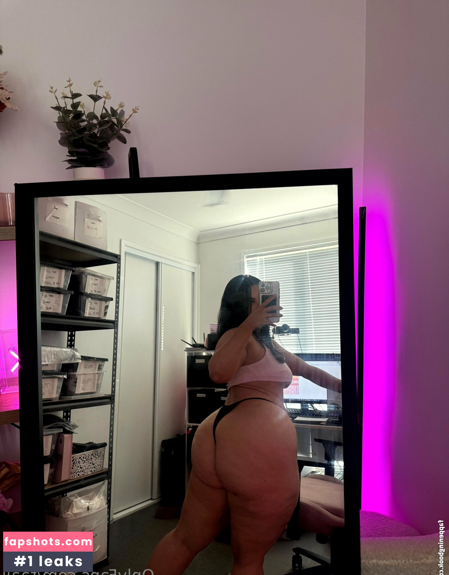 Taaij gallery photo #28