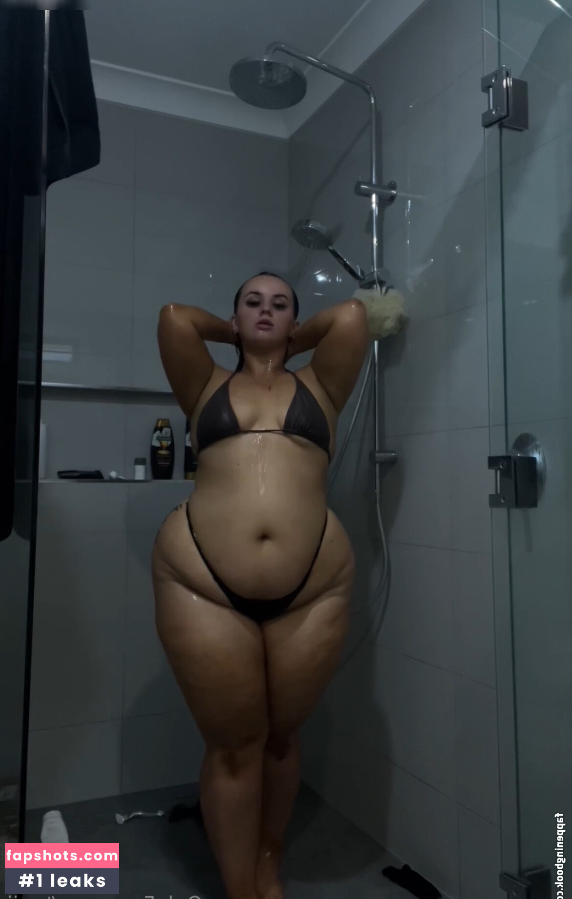 Taaij gallery photo #50