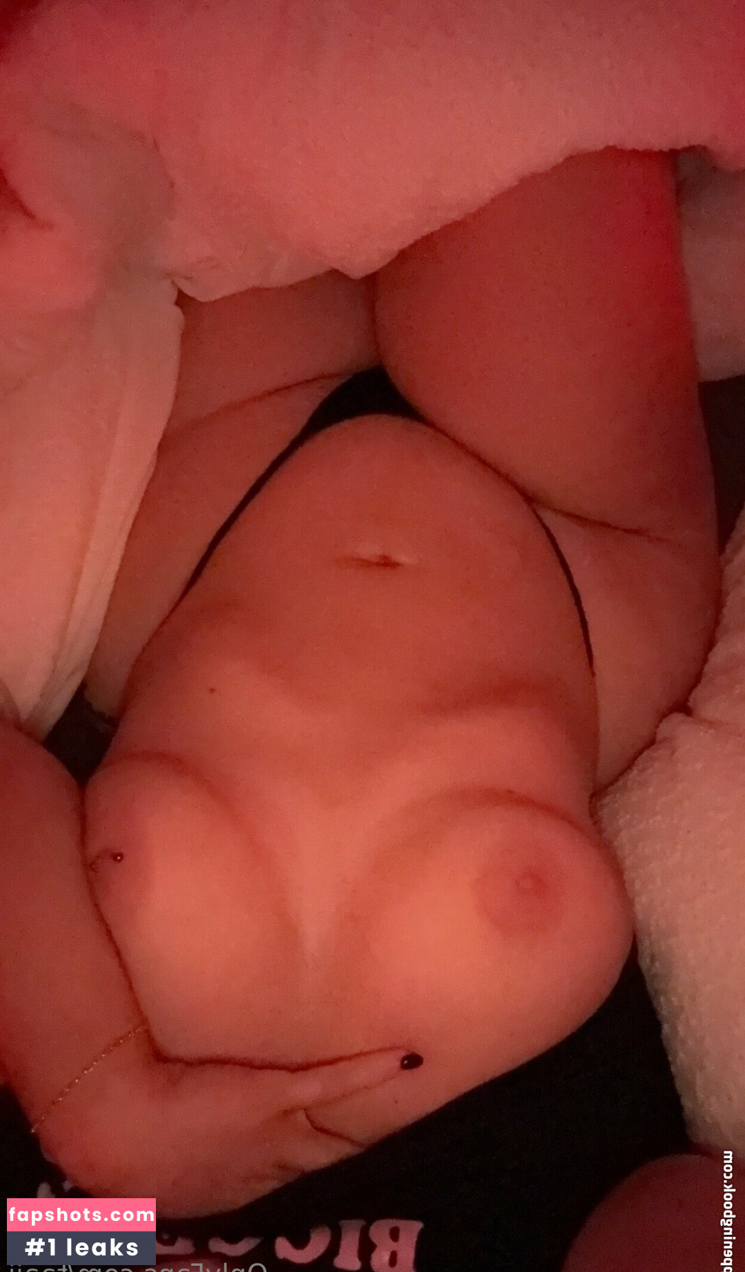 Taaij gallery photo #8