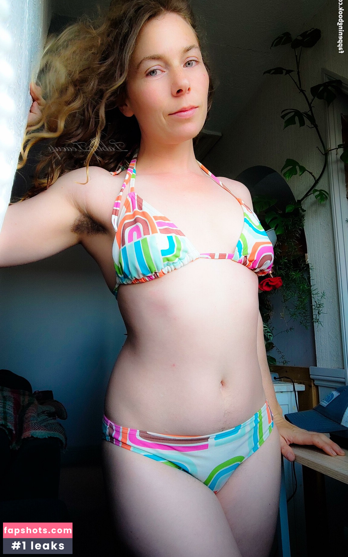 Tabby Teacup gallery photo #10