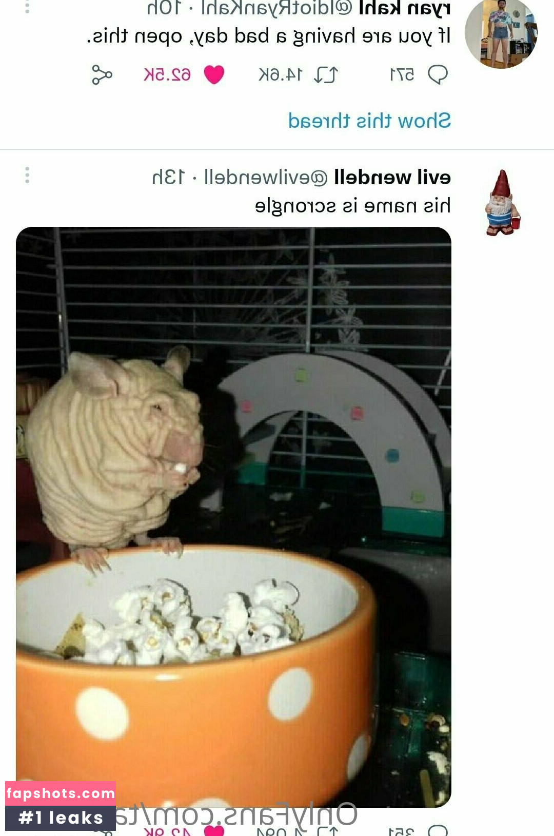 tail_meat gallery photo #23