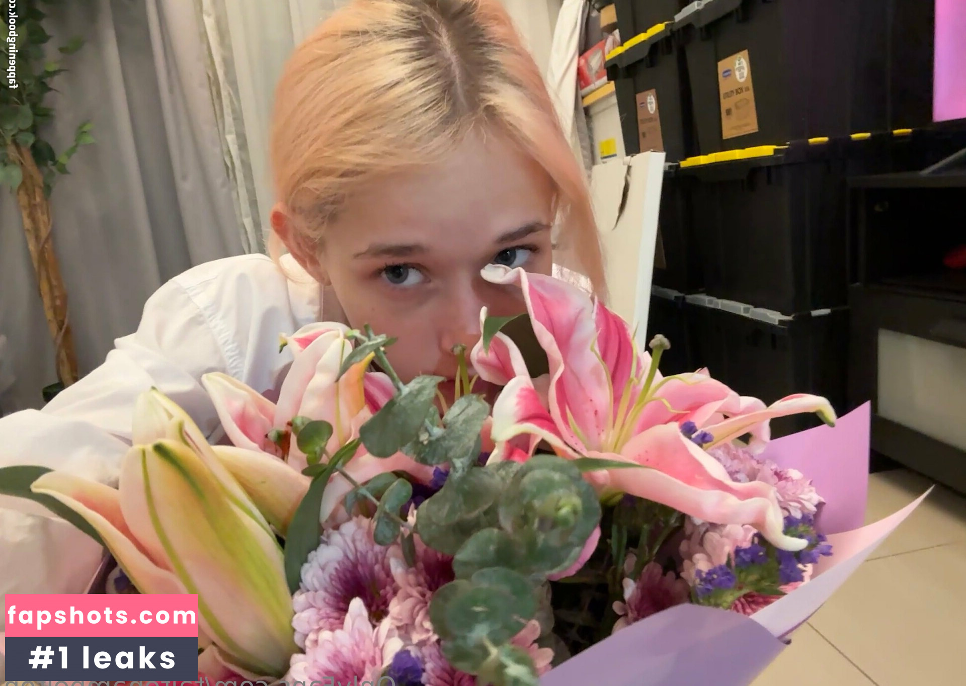 Taitehambelton gallery photo #7