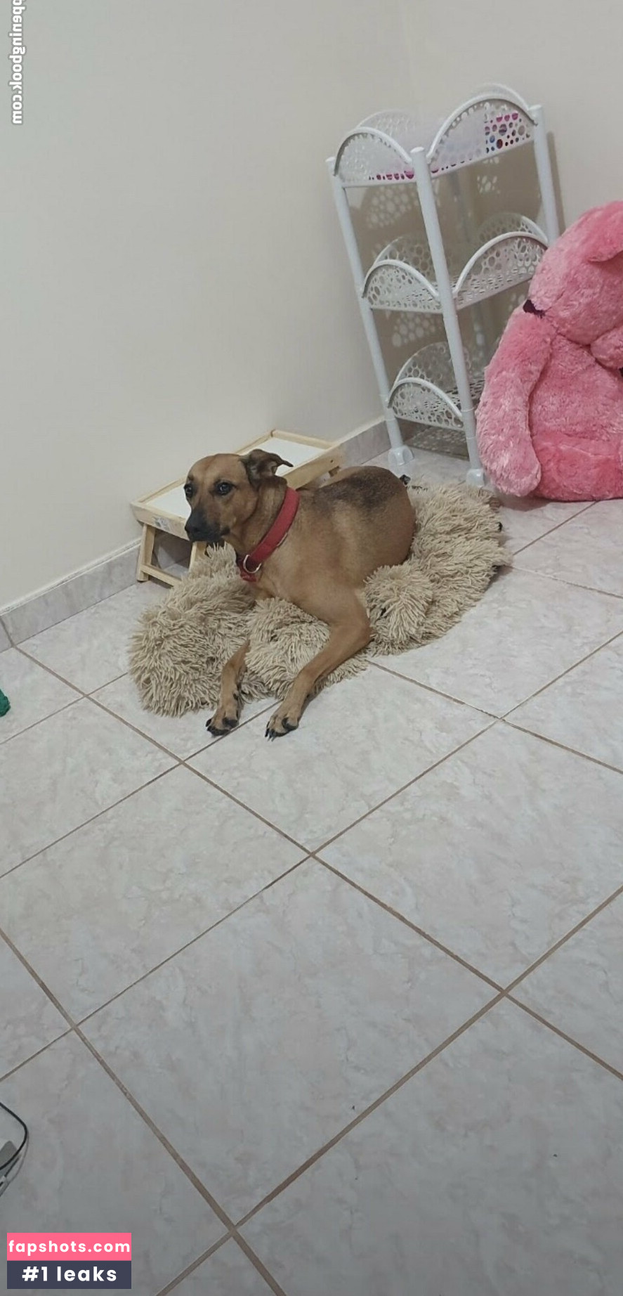 takaidesuoficial gallery photo #78