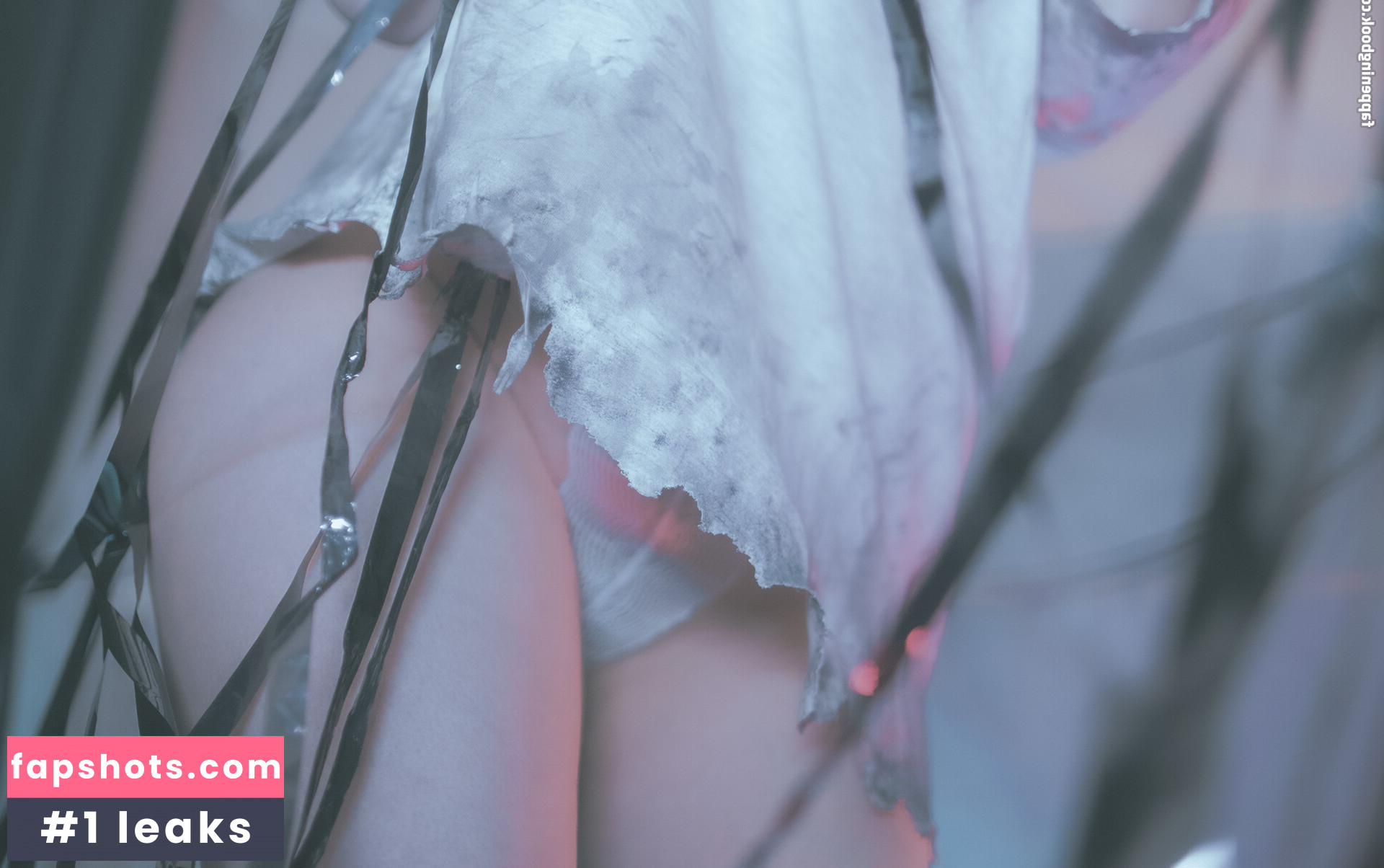 Takeomeow gallery photo #7