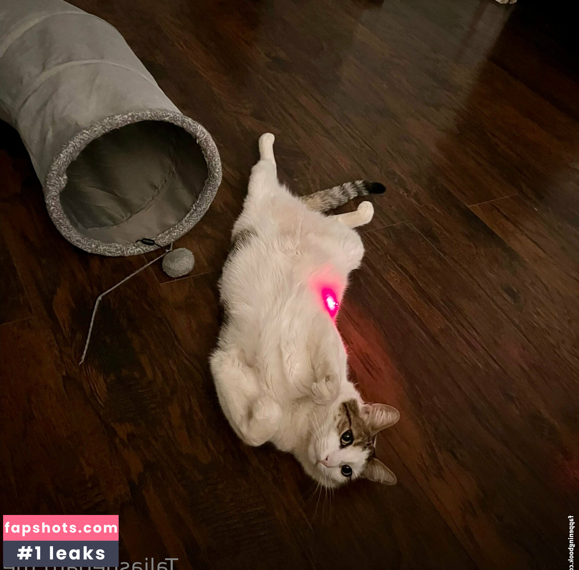 taliashepard Nude Leaks OnlyFans Photos #13 - LeakJerk