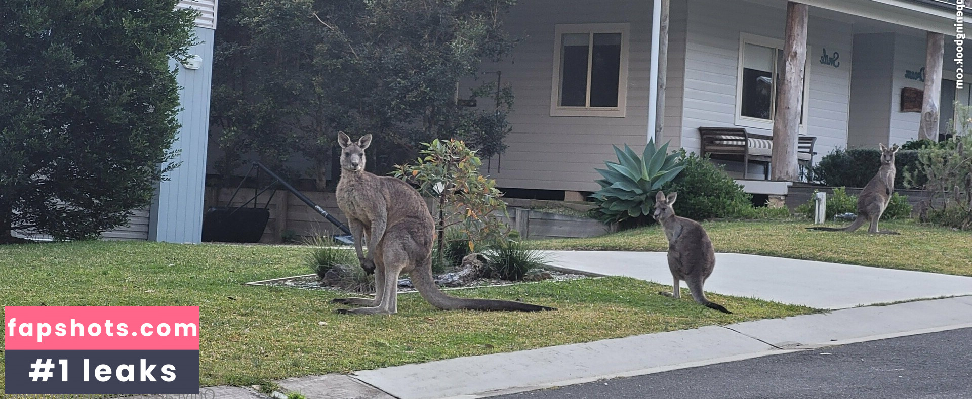 tammycheeks gallery photo #30