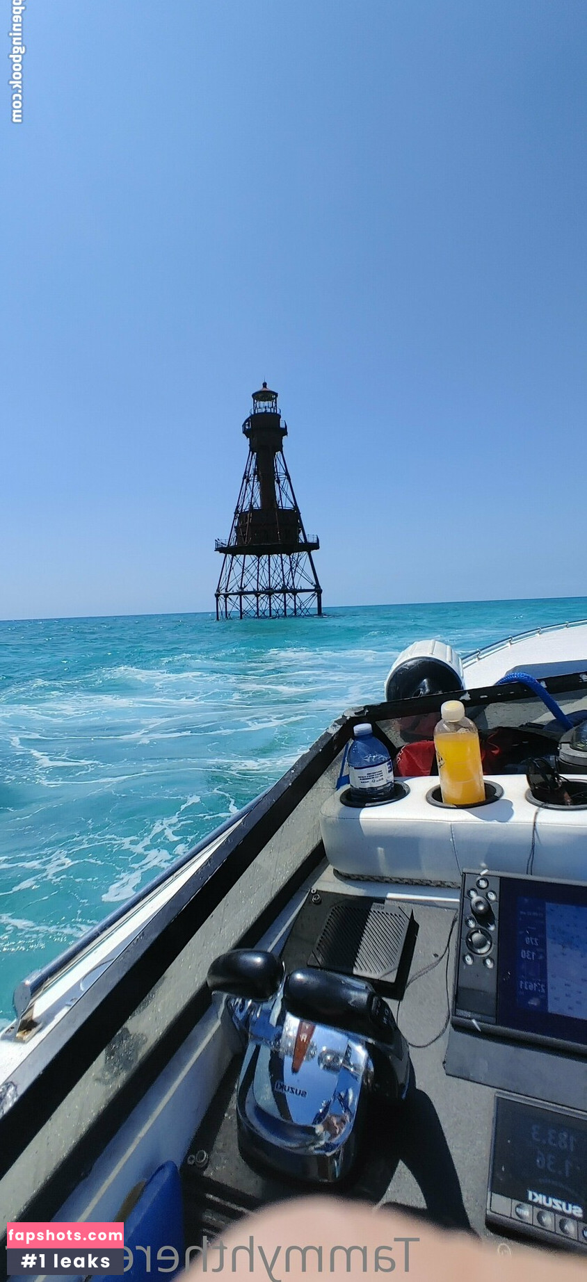 tammylh gallery photo #22