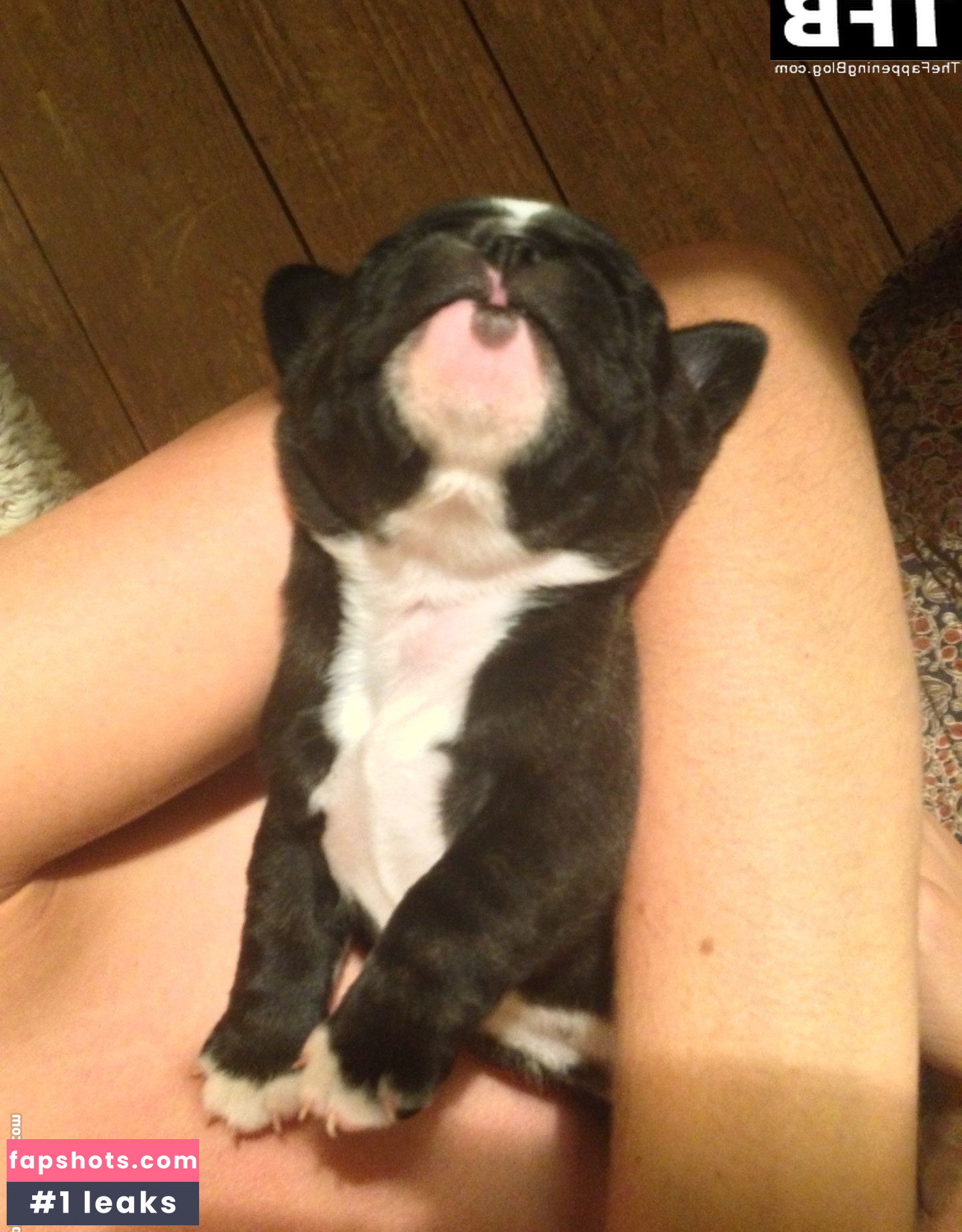 Tamsin Egerton gallery photo #108