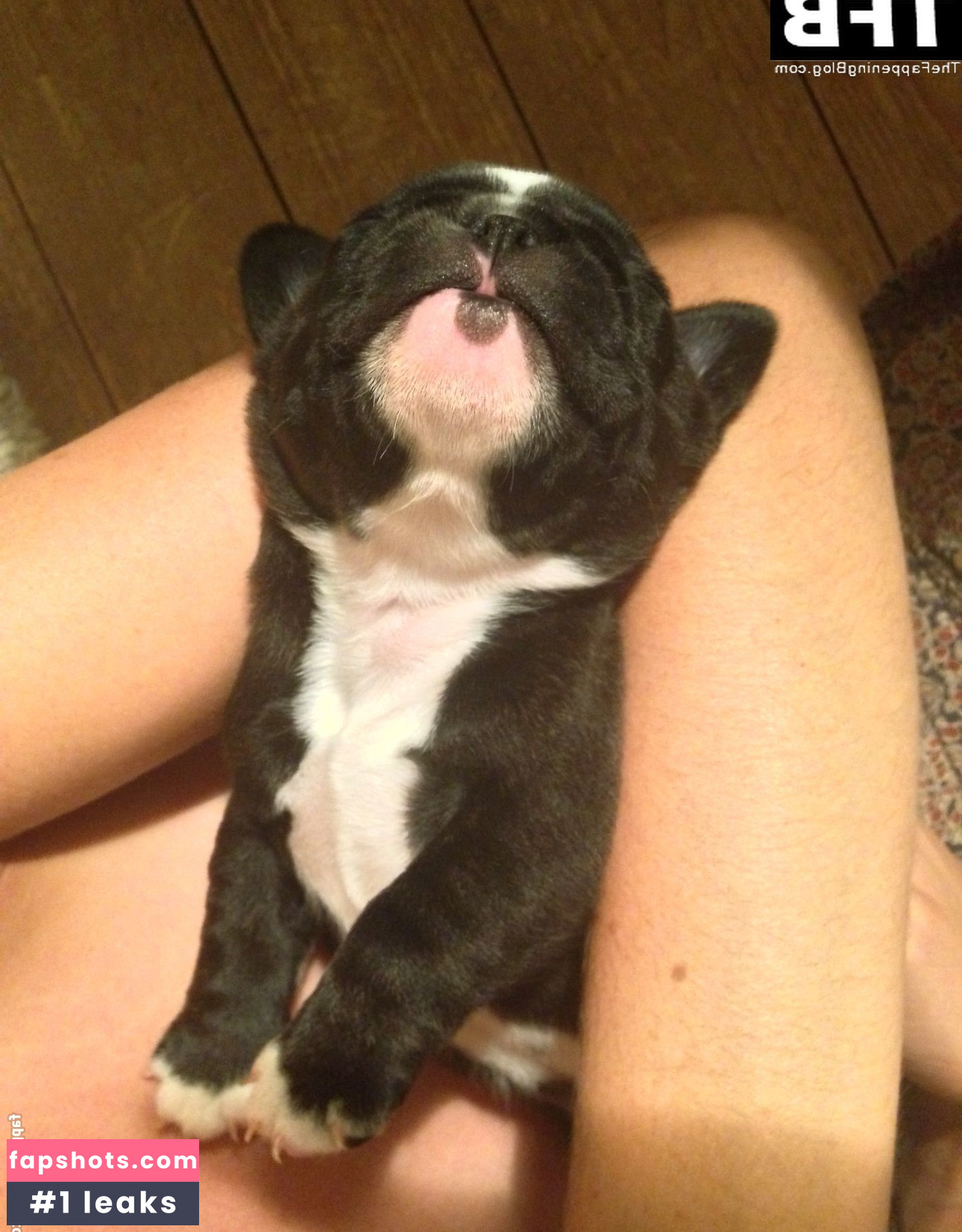 Tamsin Egerton gallery photo #110