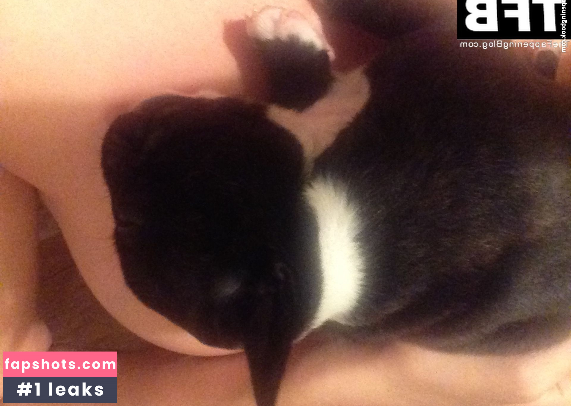 Tamsin Egerton gallery photo #87