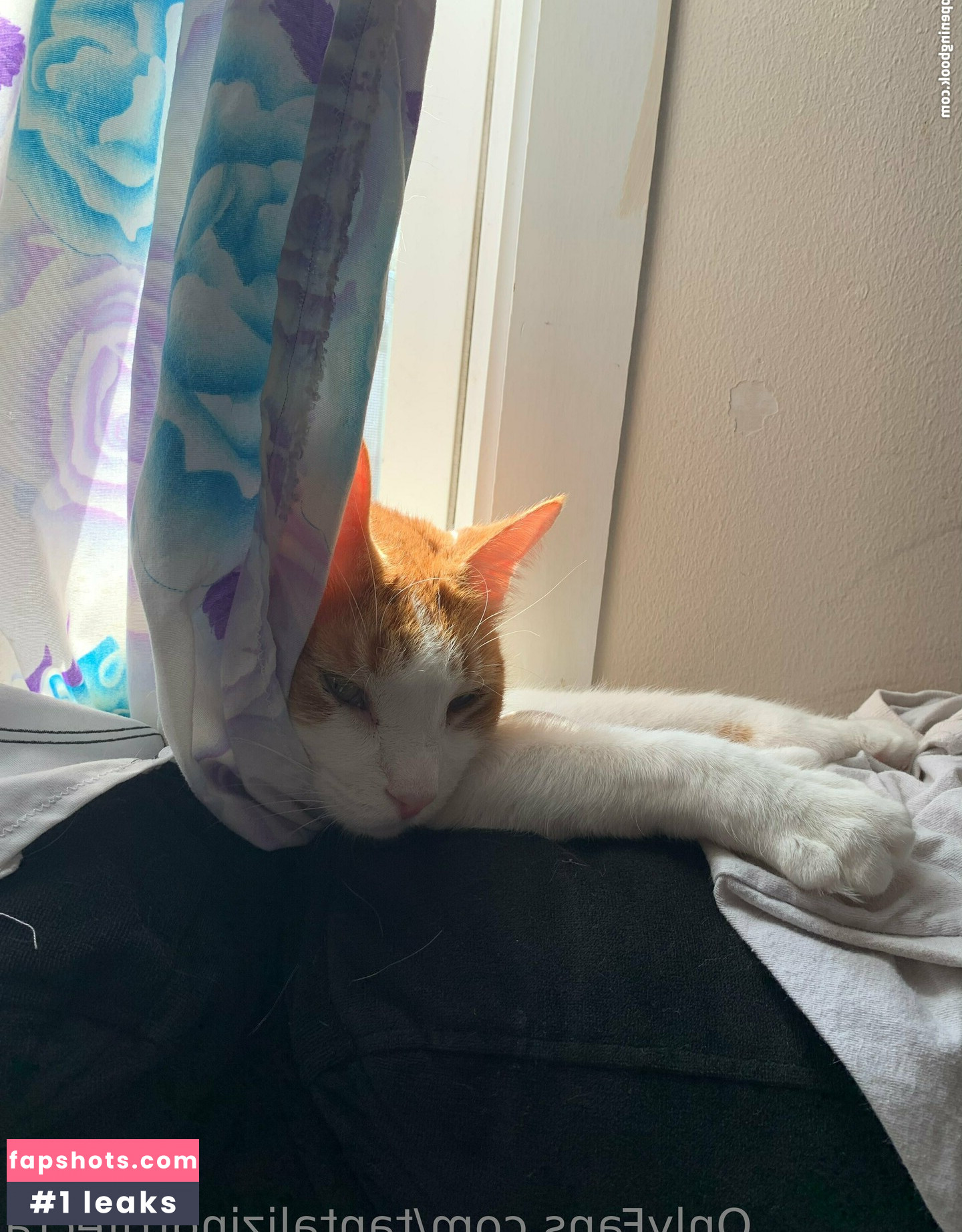 tantalizingtrifecta gallery photo #24