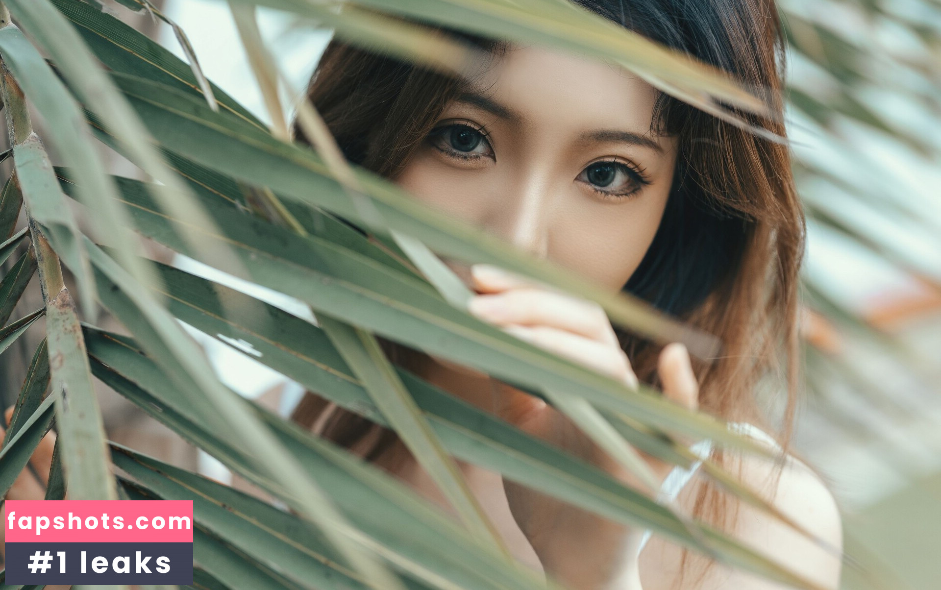 Taoliangazhai gallery photo #212