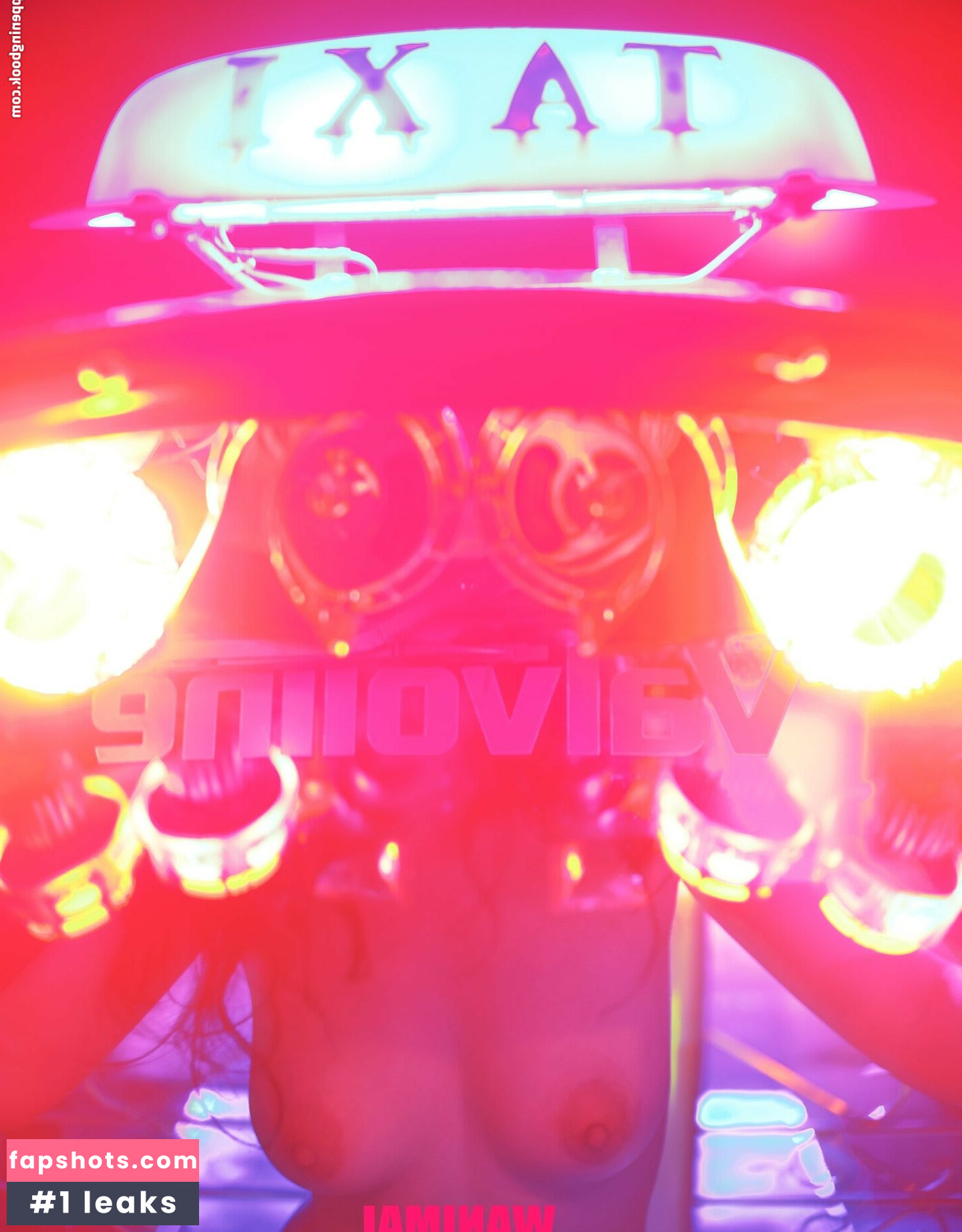 Taoliangazhai gallery photo #5