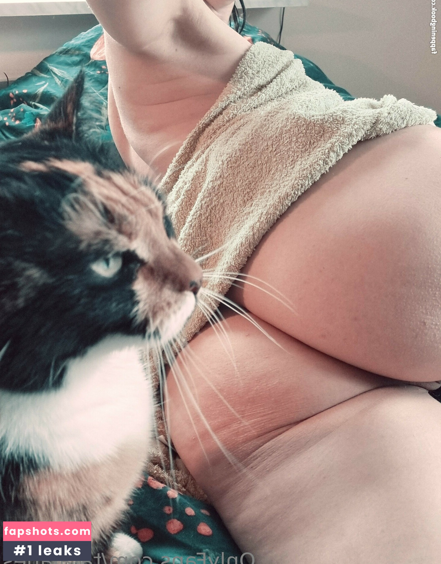 Taralanes gallery photo #8