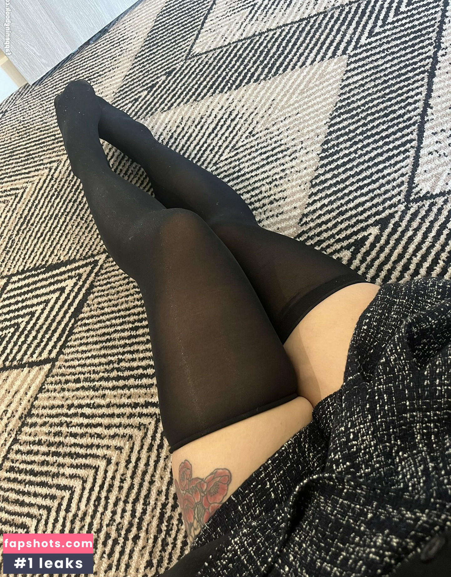 tarantunya gallery photo #20