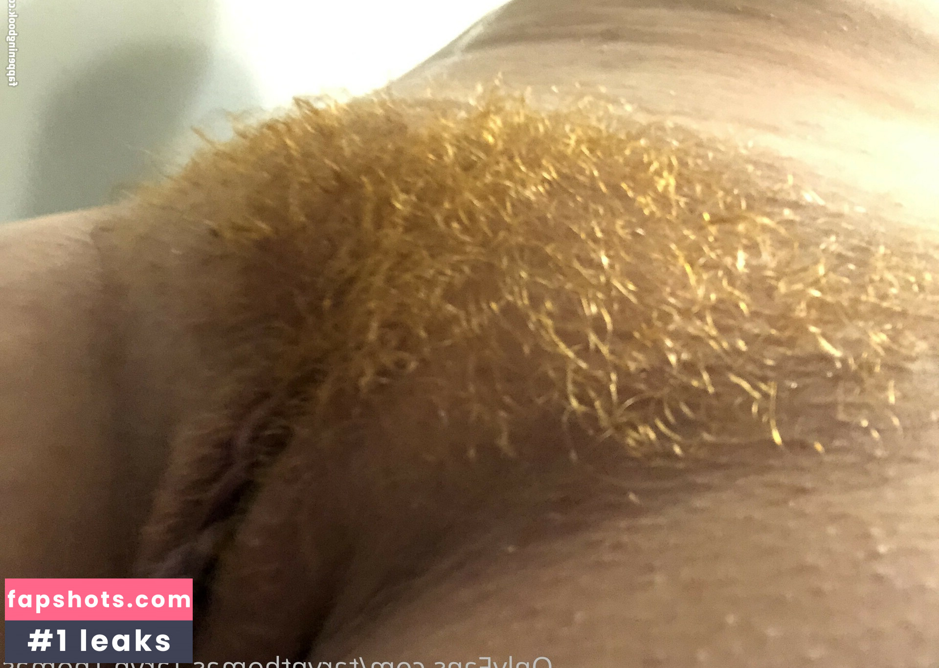 tarynthomas Nude Leaks OnlyFans Photos #39 - LeakJerk