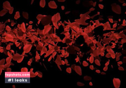 Tasha Trex gallery photo #70