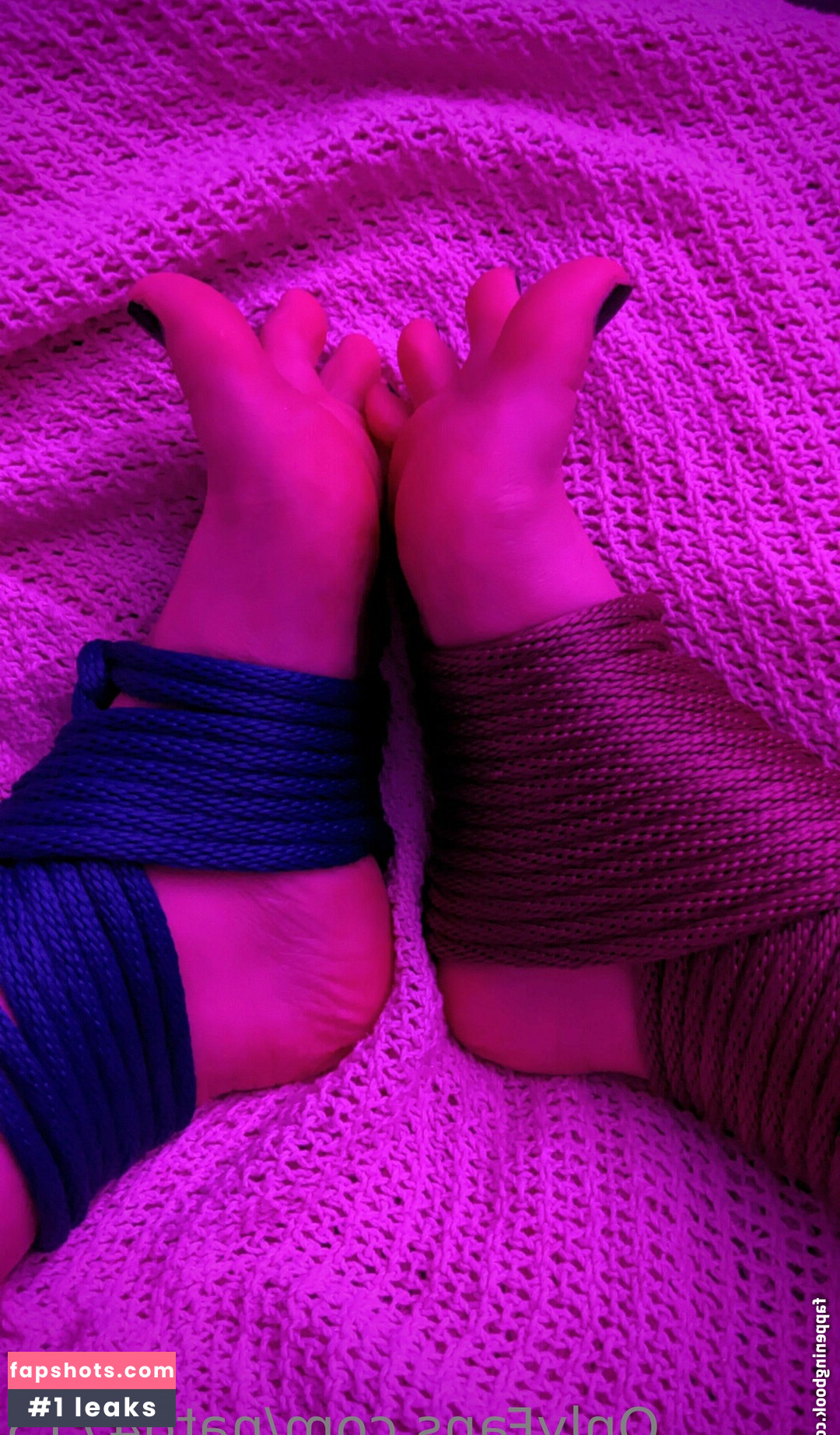 tashad4715 gallery photo #13