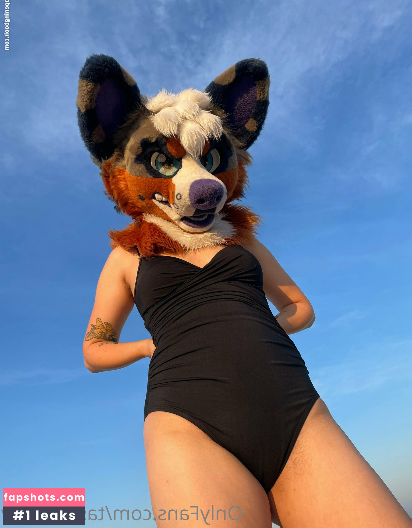 tastymonty gallery photo #17