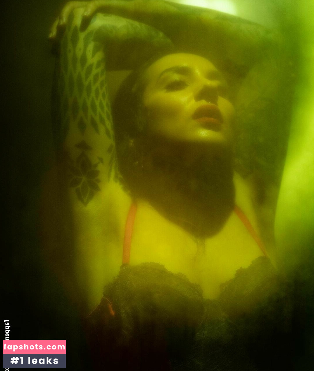 Tatiana Shmayluk gallery photo #13