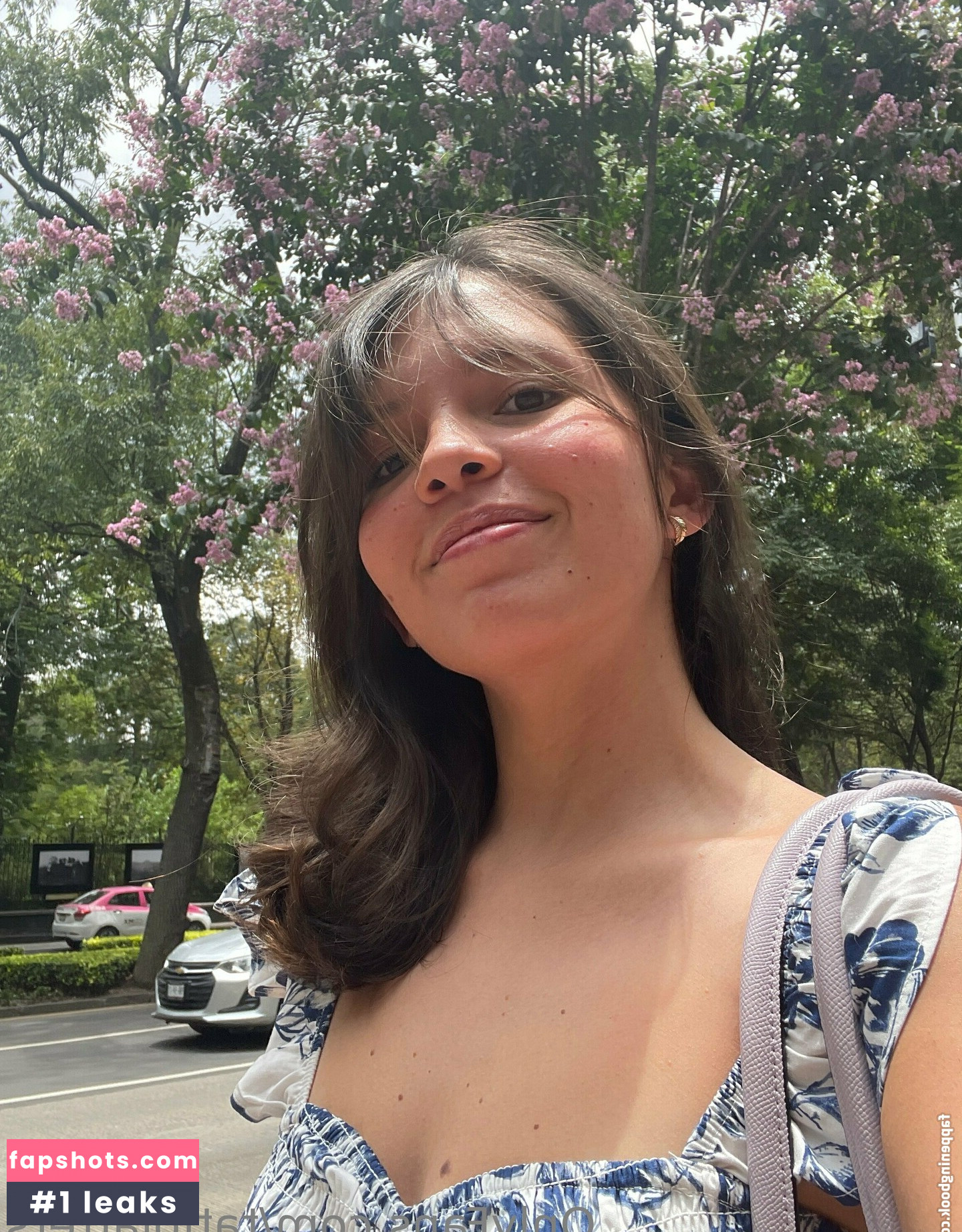 tatiplatters gallery photo #38