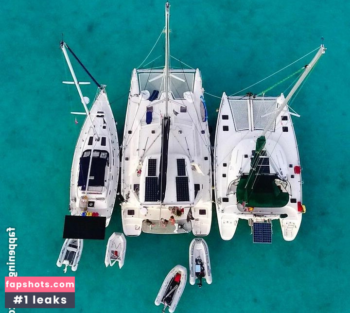 Taylor Francis gallery photo #5