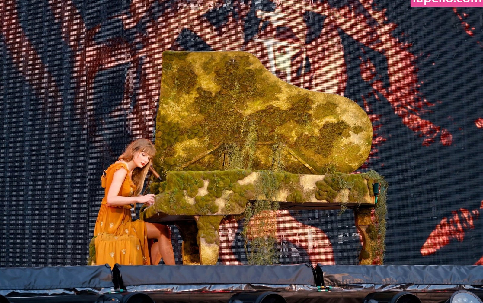 taylor-swift gallery photo #5559
