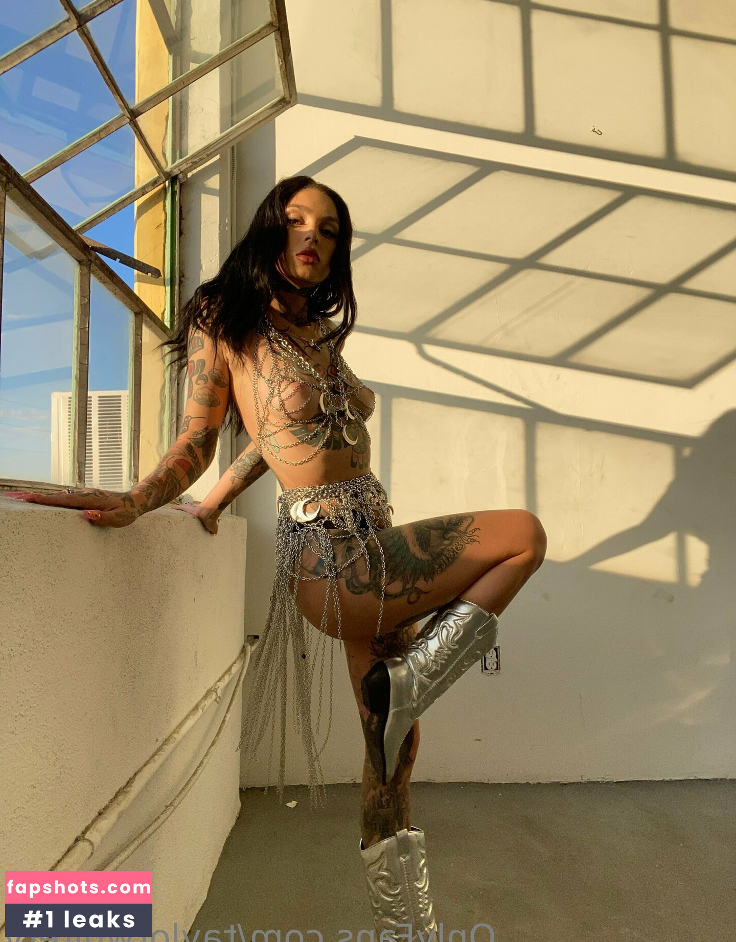 Taylor White gallery photo #128