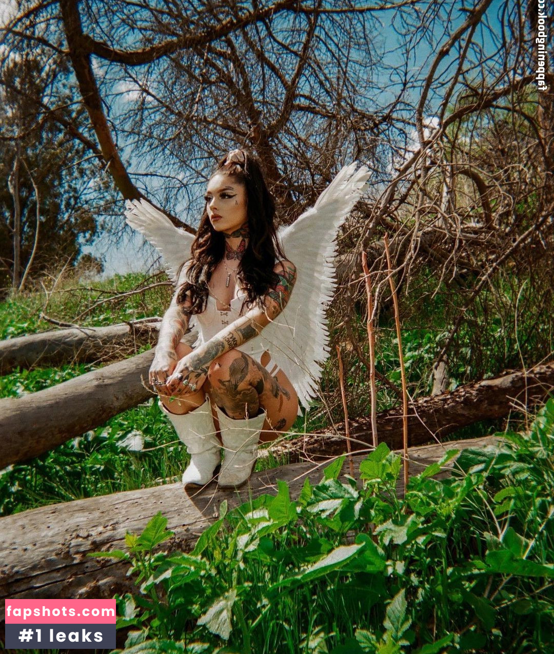 Taylor White gallery photo #285