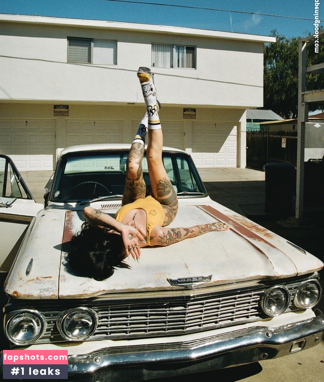 Taylor White gallery photo #308