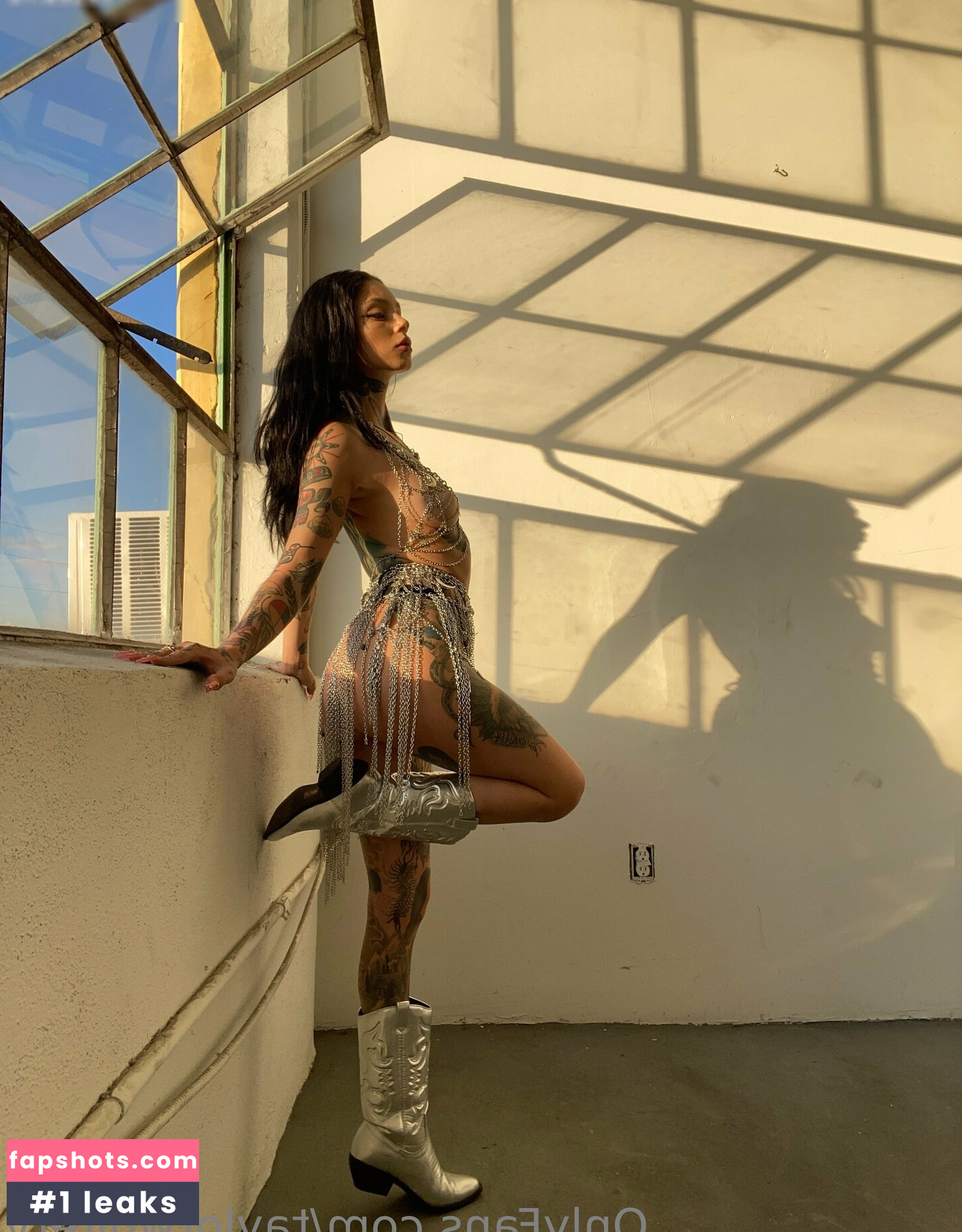 Taylor White gallery photo #32