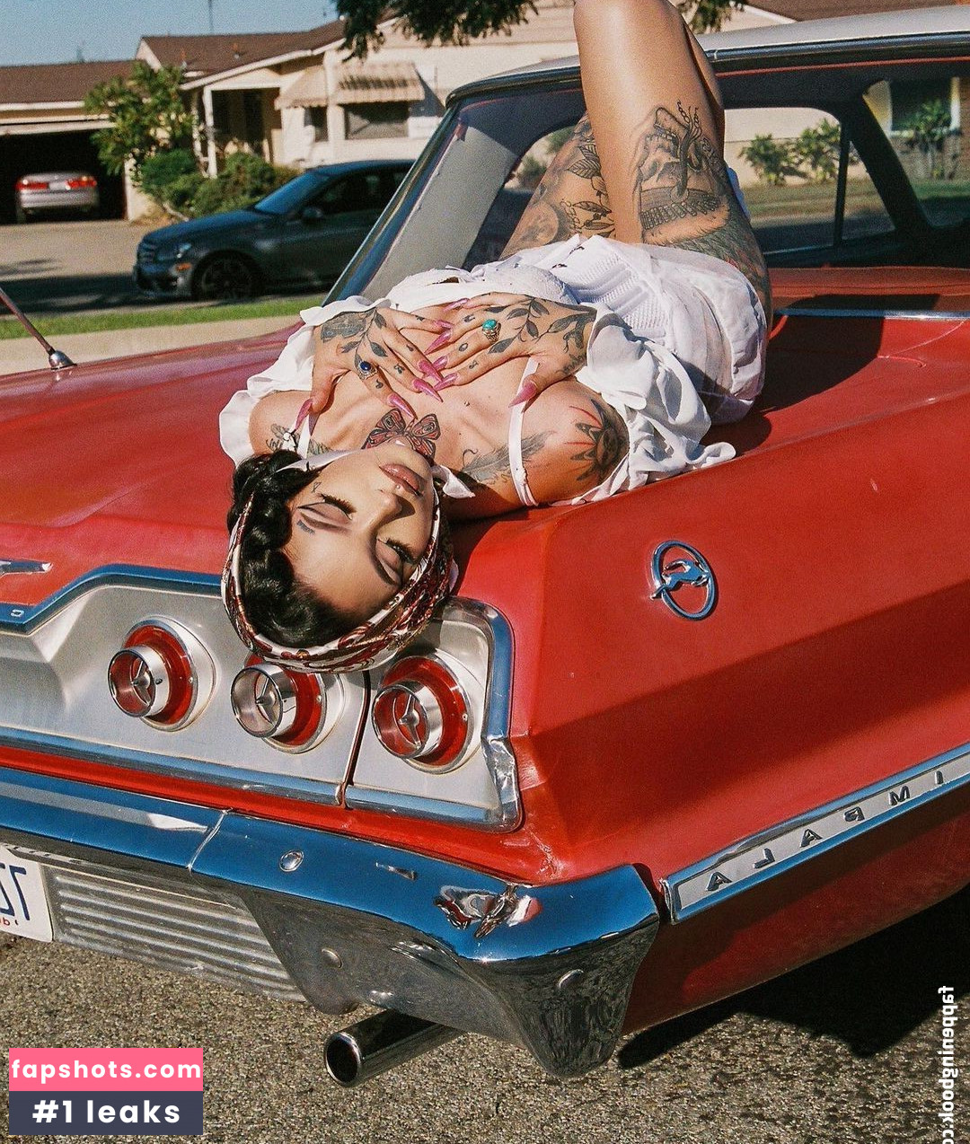 Taylor White gallery photo #316