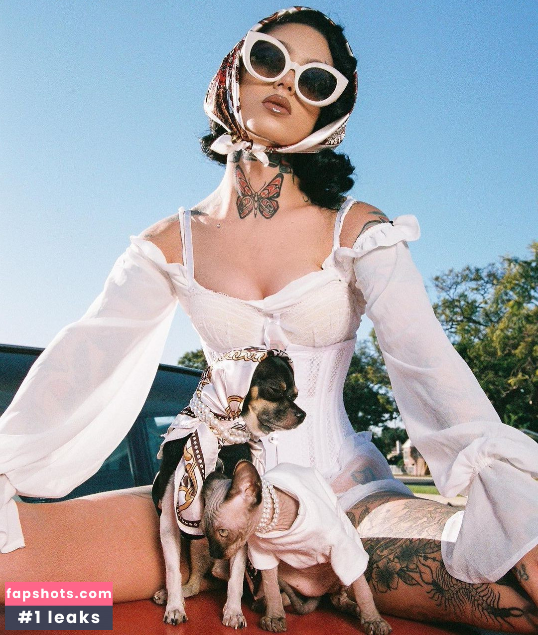 Taylor White gallery photo #318