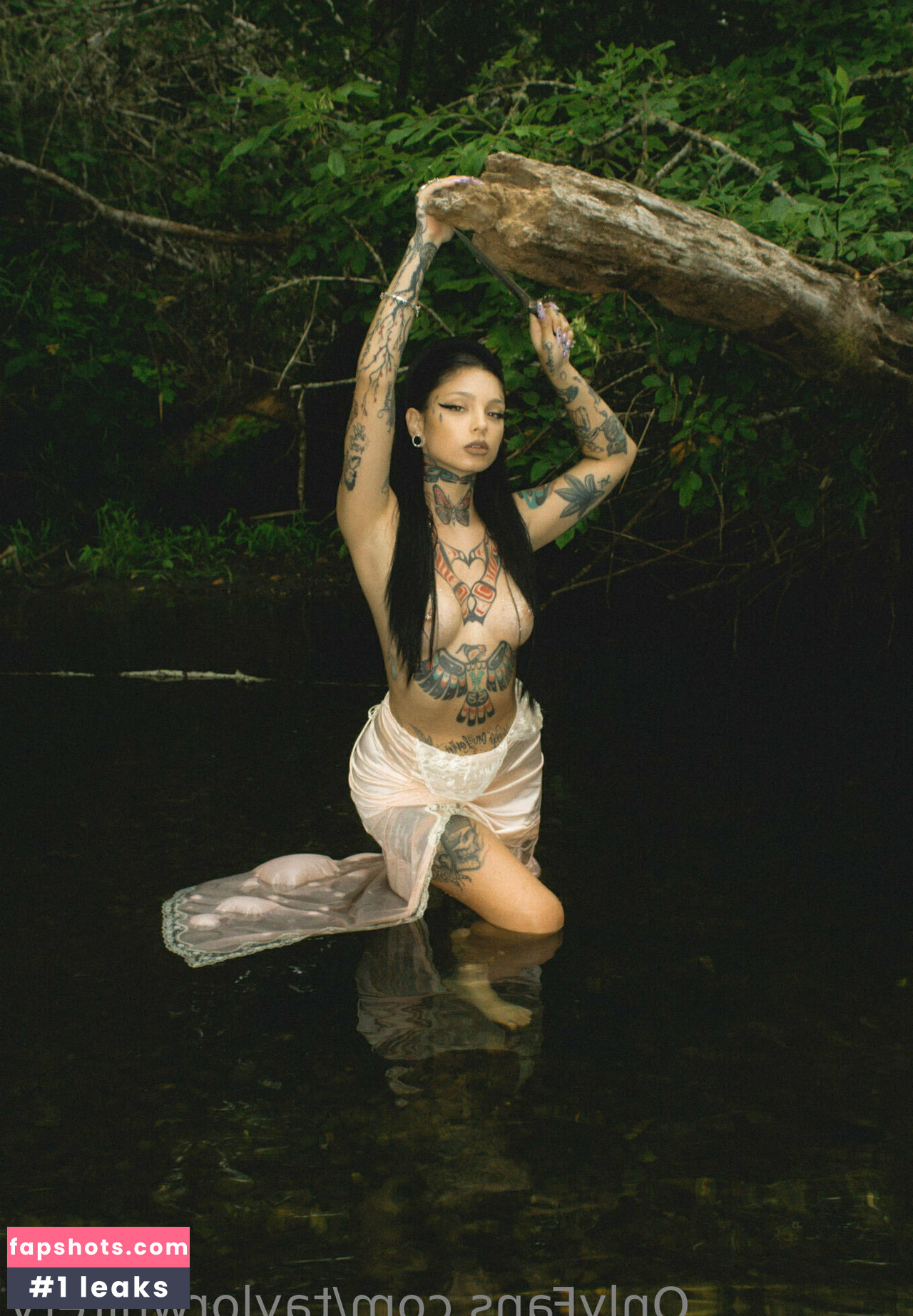 Taylor White gallery photo #46